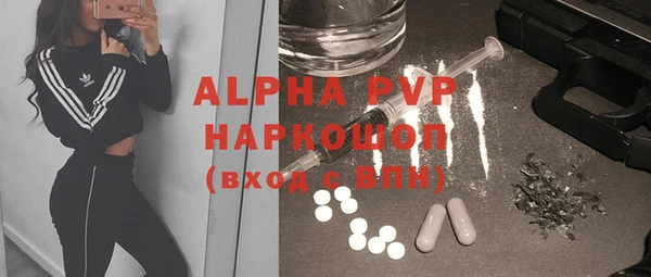 твердый Абаза