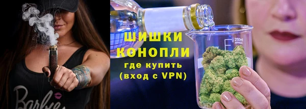 твердый Абаза