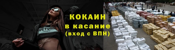 твердый Абаза
