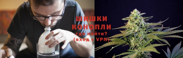 сатива Абдулино
