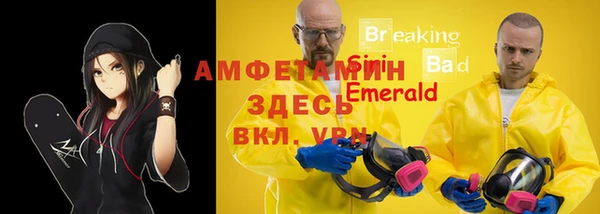сатива Абдулино