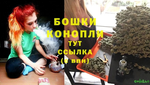 сатива Абдулино