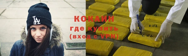 твердый Абаза